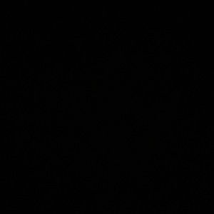 Meet your Posher, Chaya